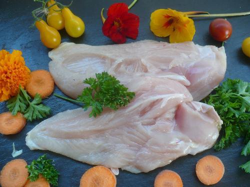 Filet de poulet